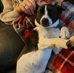 Meet your Posher, Michele